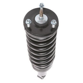 Suspension Strut and Coil Spring Assembly