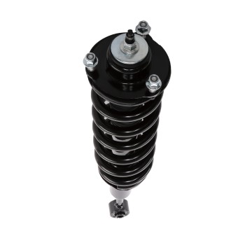 Suspension Strut and Coil Spring Assembly