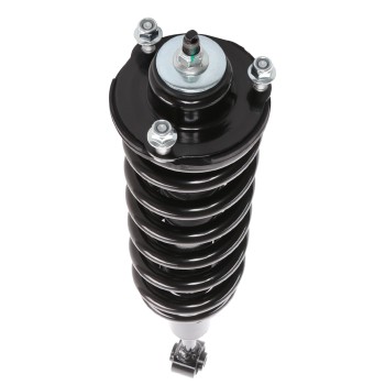 Suspension Strut and Coil Spring Assembly