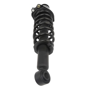 Suspension Strut and Coil Spring Assembly