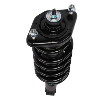 Suspension Strut and Coil Spring Assembly