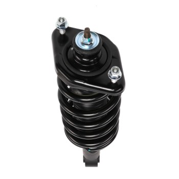 Suspension Strut and Coil Spring Assembly