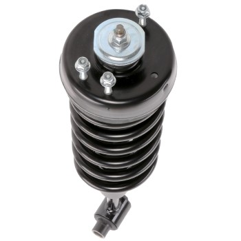 Suspension Strut and Coil Spring Assembly