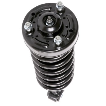 Suspension Strut and Coil Spring Assembly