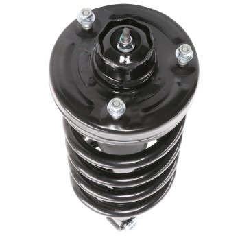 Suspension Strut and Coil Spring Assembly