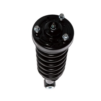 Suspension Strut and Coil Spring Assembly