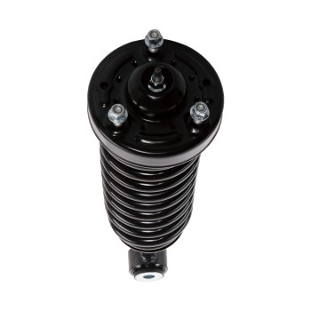 Suspension Strut and Coil Spring Assembly