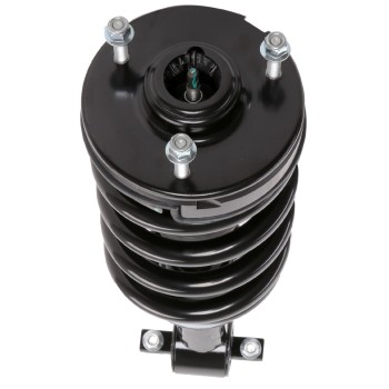 Suspension Strut and Coil Spring Assembly