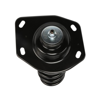 Suspension Strut and Coil Spring Assembly