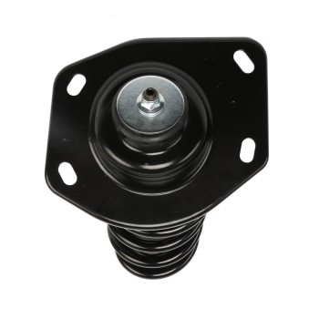 Suspension Strut and Coil Spring Assembly