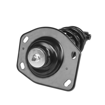 Suspension Strut and Coil Spring Assembly