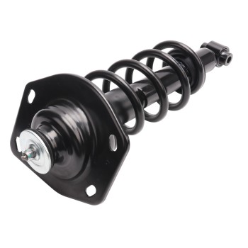Suspension Strut and Coil Spring Assembly