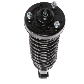 Suspension Strut and Coil Spring Assembly