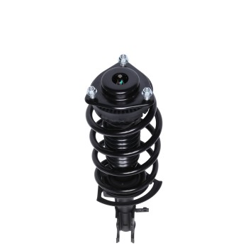 Suspension Strut and Coil Spring Assembly
