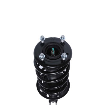 Suspension Strut and Coil Spring Assembly