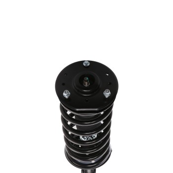 Suspension Strut and Coil Spring Assembly