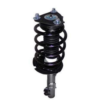 Suspension Strut and Coil Spring Assembly