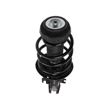Suspension Strut and Coil Spring Assembly