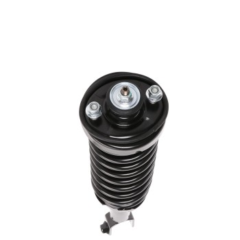 Suspension Strut and Coil Spring Assembly