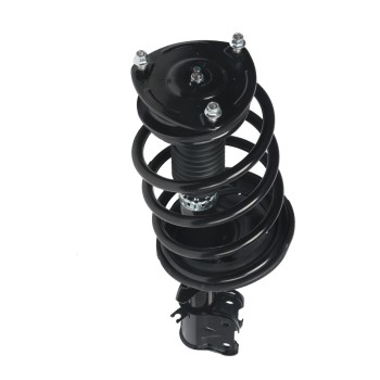 Suspension Strut and Coil Spring Assembly