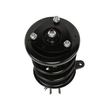 Suspension Strut and Coil Spring Assembly