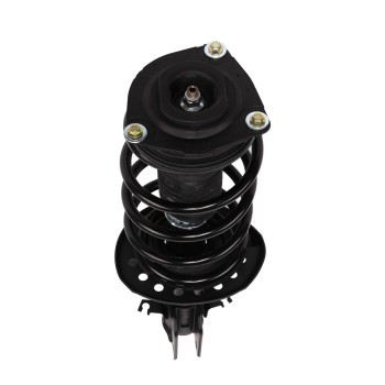 Suspension Strut and Coil Spring Assembly