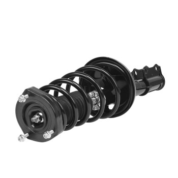 Suspension Strut and Coil Spring Assembly