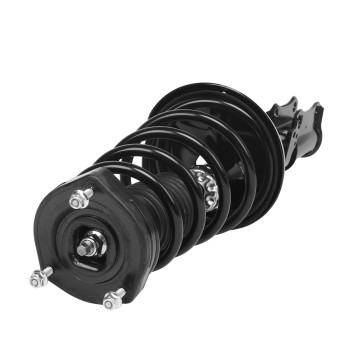 Suspension Strut and Coil Spring Assembly