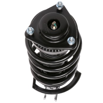 Suspension Strut and Coil Spring Assembly