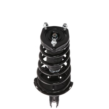 Suspension Strut and Coil Spring Assembly