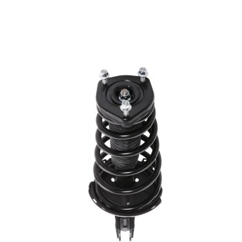 Suspension Strut and Coil Spring Assembly