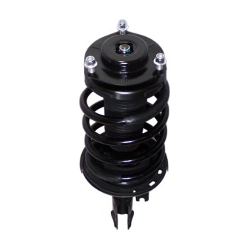 Suspension Strut and Coil Spring Assembly