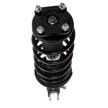 Suspension Strut and Coil Spring Assembly