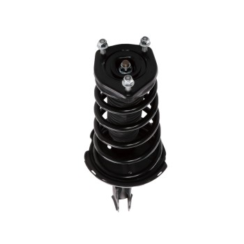 Suspension Strut and Coil Spring Assembly