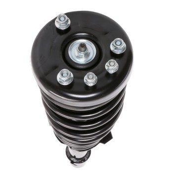 Suspension Strut and Coil Spring Assembly