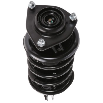 Suspension Strut and Coil Spring Assembly