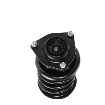 Suspension Strut and Coil Spring Assembly