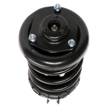 Suspension Strut and Coil Spring Assembly