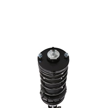 Suspension Strut and Coil Spring Assembly