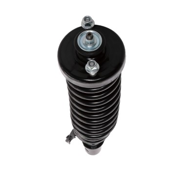 Suspension Strut and Coil Spring Assembly