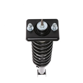 Suspension Strut and Coil Spring Assembly