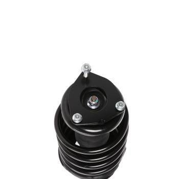 Suspension Strut and Coil Spring Assembly