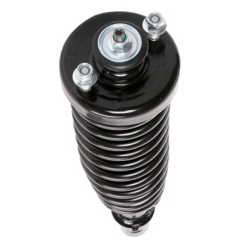 Suspension Strut and Coil Spring Assembly