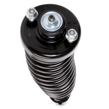 Suspension Strut and Coil Spring Assembly