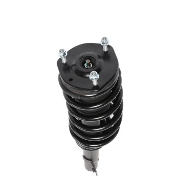 Suspension Strut and Coil Spring Assembly