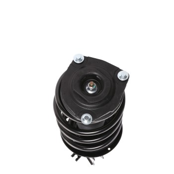 Suspension Strut and Coil Spring Assembly