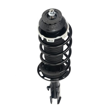 Suspension Strut and Coil Spring Assembly