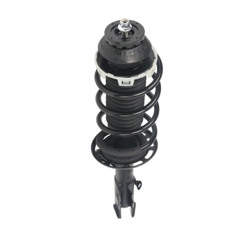 Suspension Strut and Coil Spring Assembly