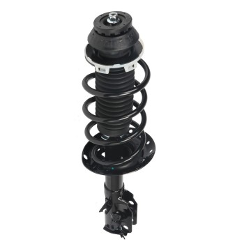 Suspension Strut and Coil Spring Assembly
