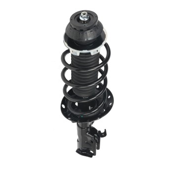 Suspension Strut and Coil Spring Assembly